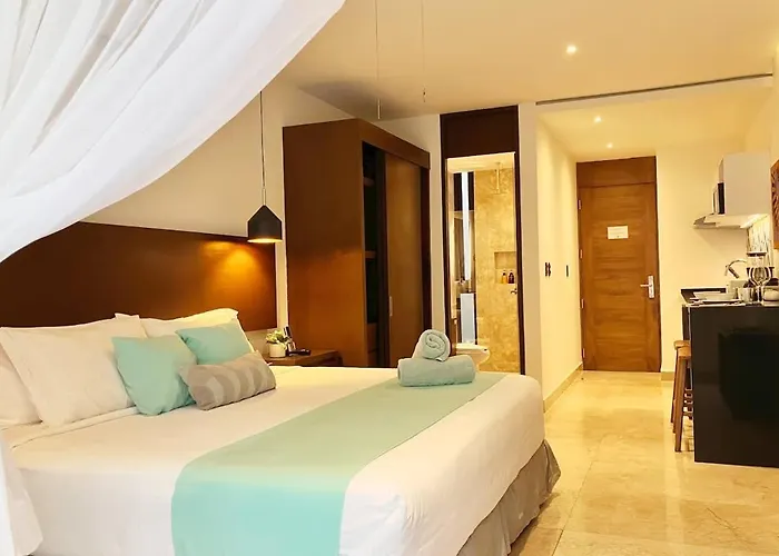 Central Playa Del Carmen Master Suite With Rooftop Pool And Gym Wifi Free Parking Near Beach